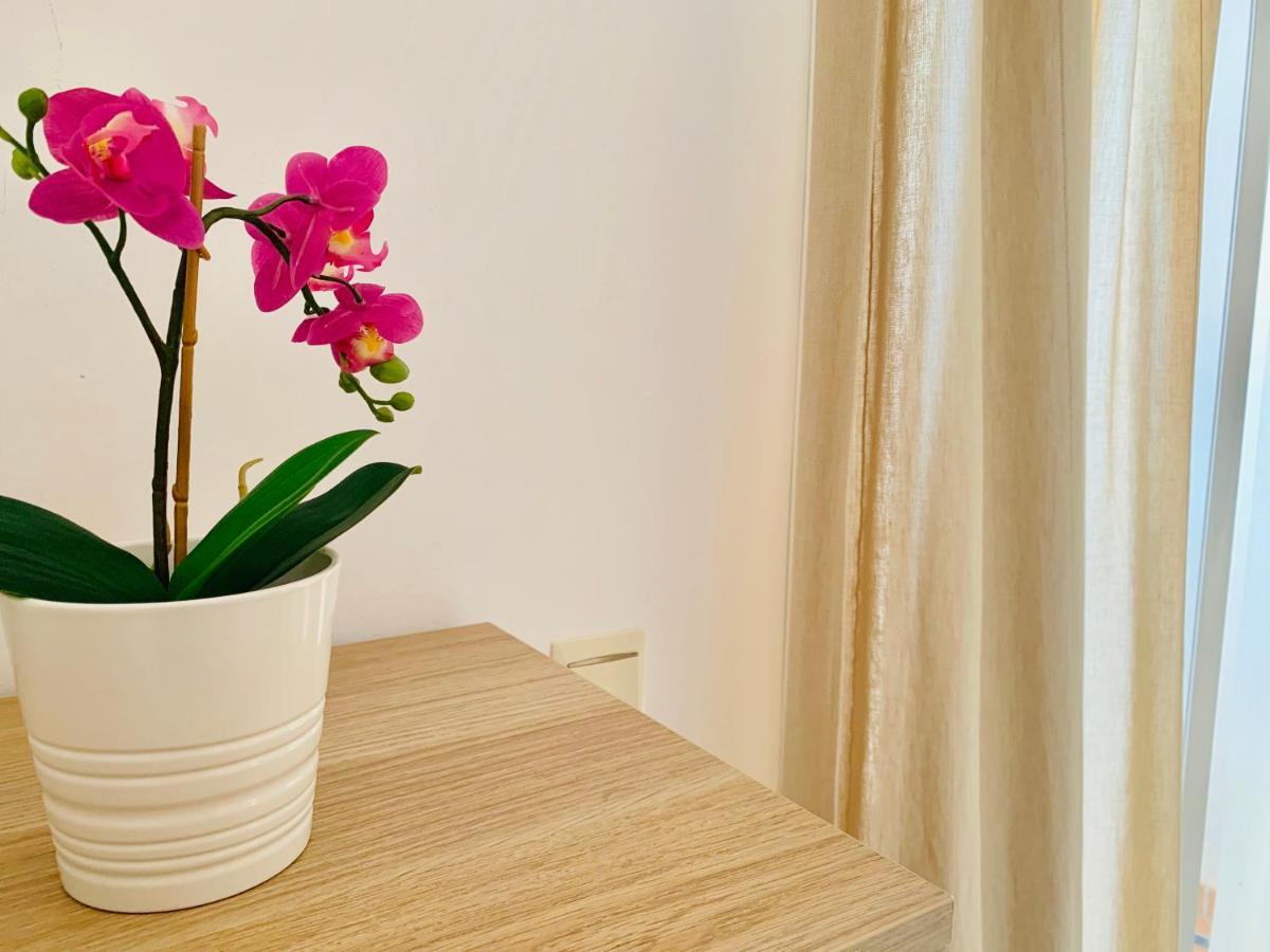 Homely Malaga Parras Con Terraza Interior Y Parking Privado Bajo Suplemento المظهر الخارجي الصورة